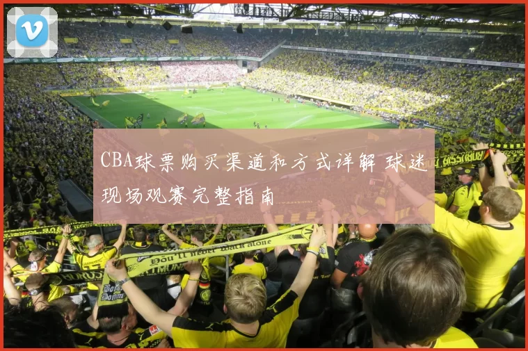 CBA球票购买渠道和方式详解 球迷现场观赛完整指南