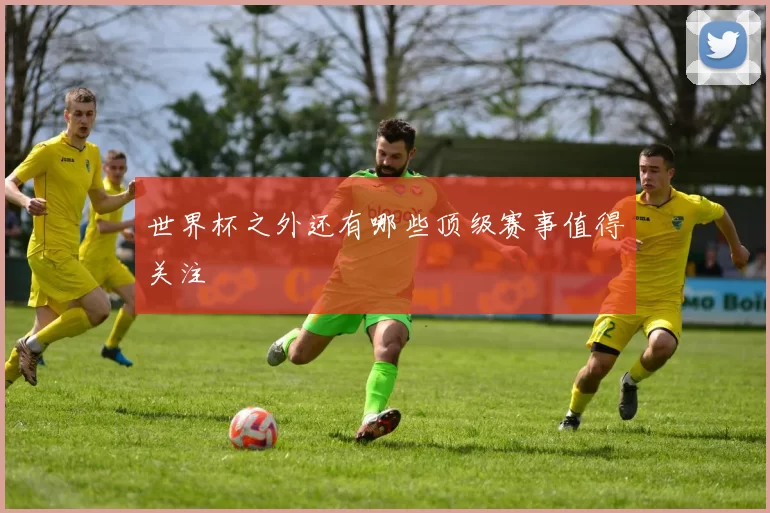 世界杯之外还有哪些顶级赛事值得关注