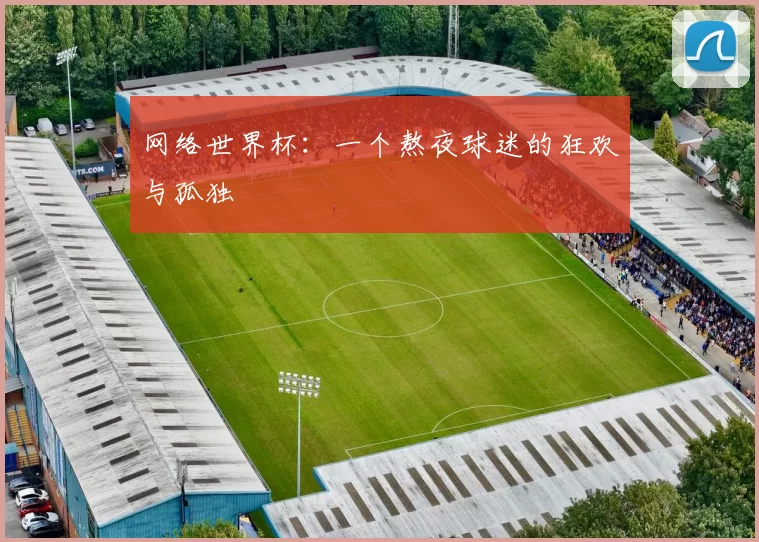 网络世界杯：一个熬夜球迷的狂欢与孤独