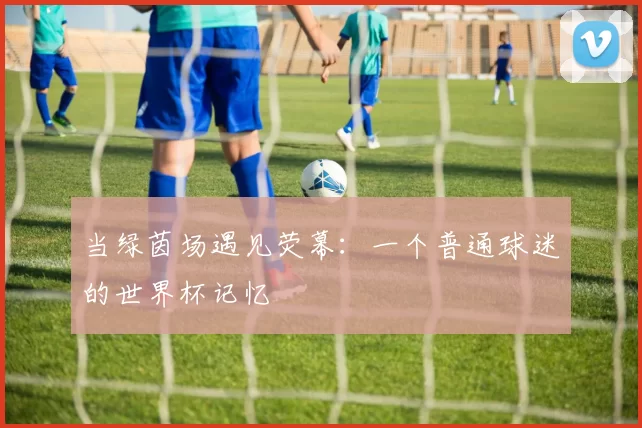 当绿茵场遇见荧幕：一个普通球迷的世界杯记忆