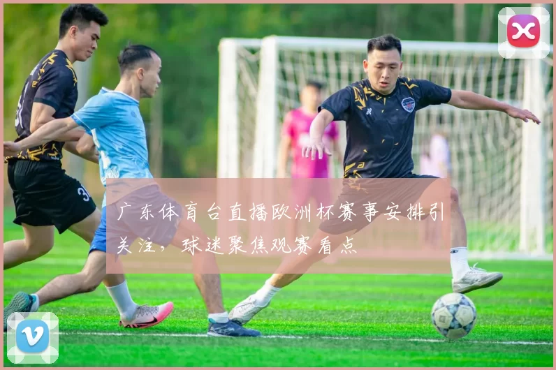 广东体育台直播欧洲杯赛事安排引关注，球迷聚焦观赛看点