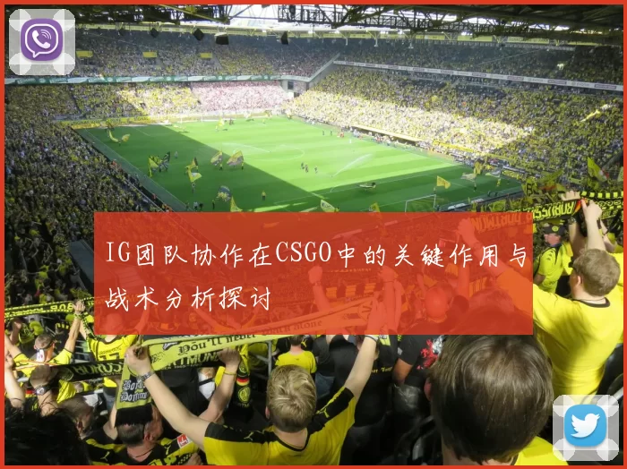 IG团队协作在CSGO中的关键作用与战术分析探讨