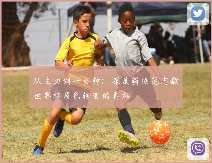 从主力到一分钟：深度解读范志毅世界杯角色转变的真相