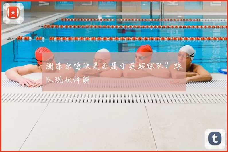 谢菲尔德联是否属于英超球队？球队现状详解