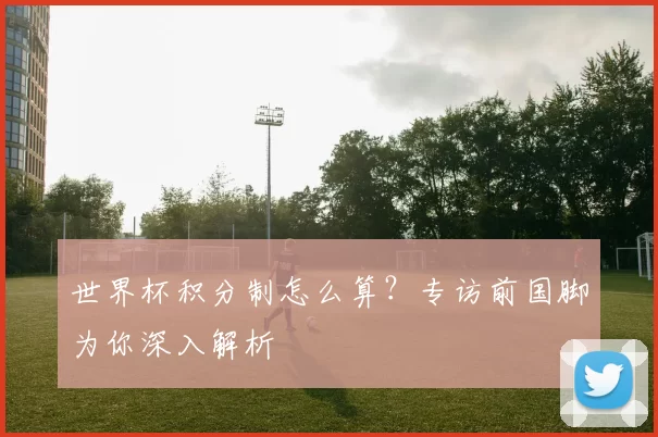 世界杯积分制怎么算？专访前国脚为你深入解析