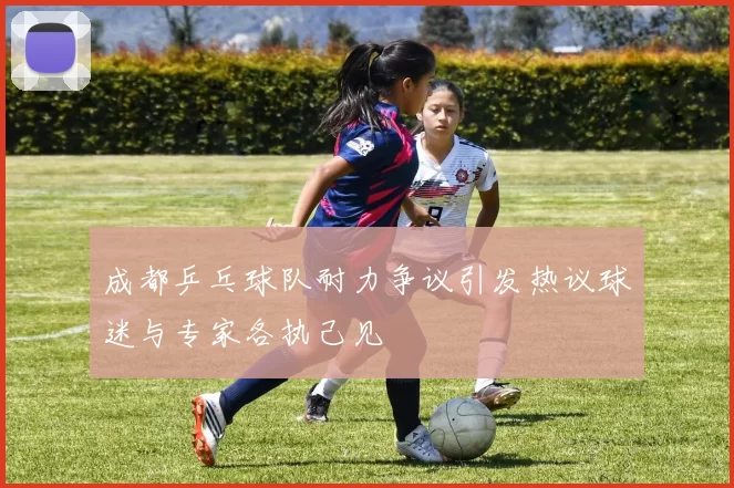 成都乒乓球队耐力争议引发热议球迷与专家各执己见