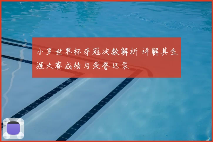 小罗世界杯夺冠次数解析 详解其生涯大赛成绩与荣誉记录
