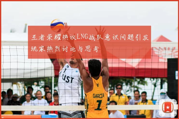 王者荣耀热议LNG战队意识问题引发玩家热烈讨论与思考