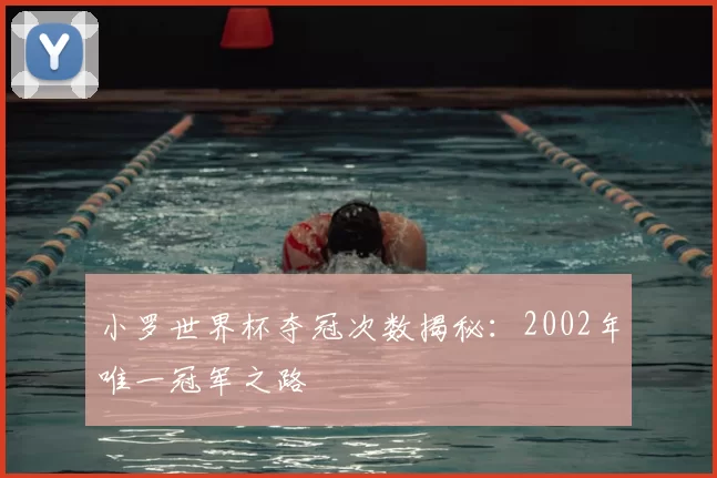 小罗世界杯夺冠次数揭秘：2002年唯一冠军之路